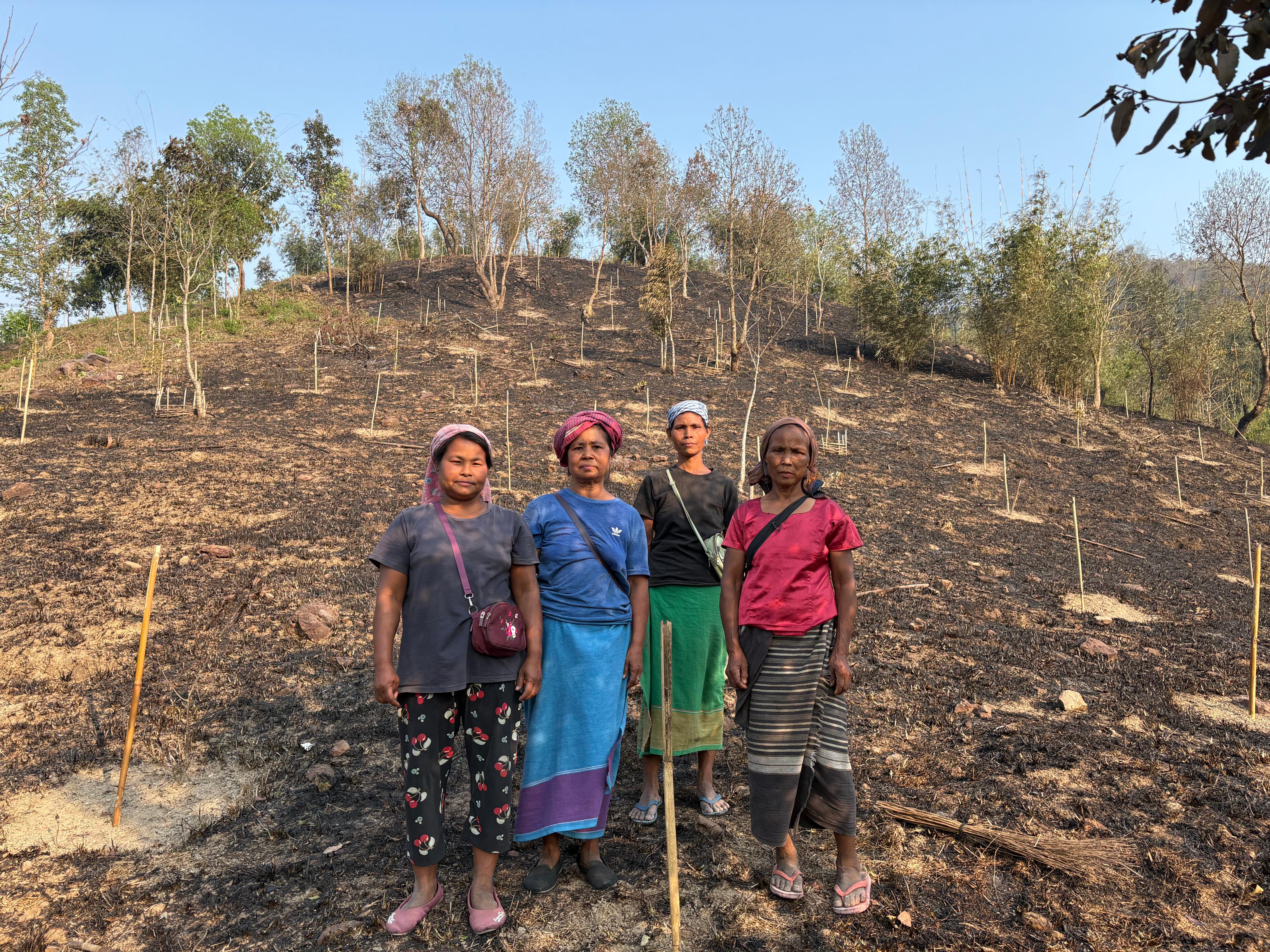 Degraded Forests