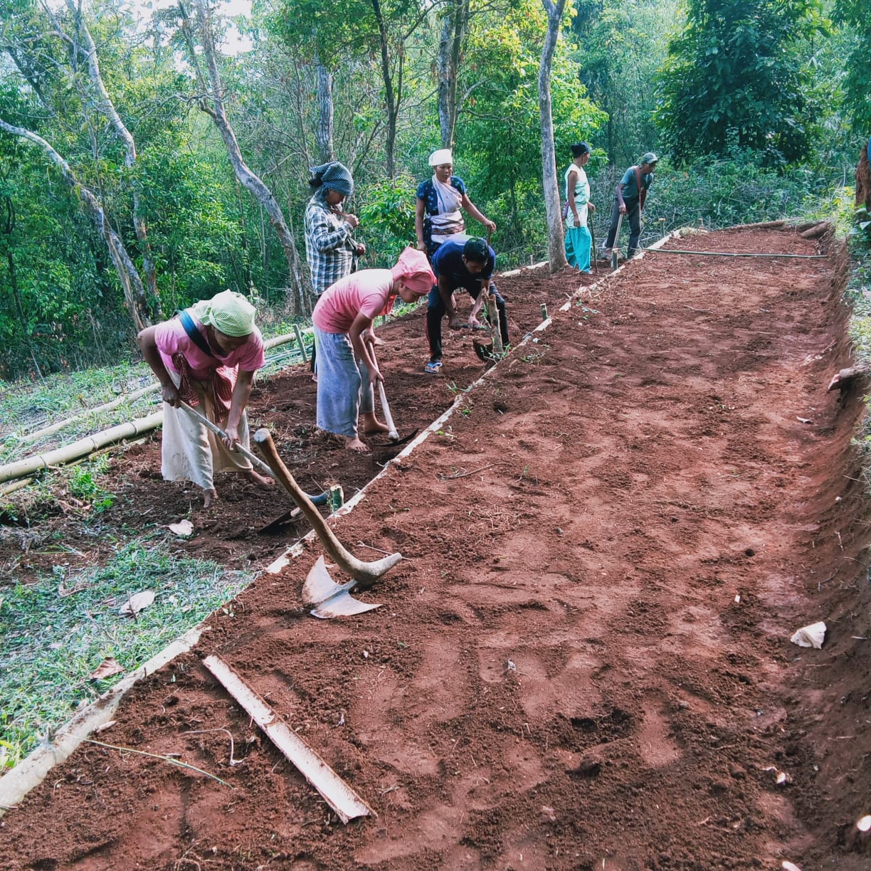 Bleishiah community nursery 