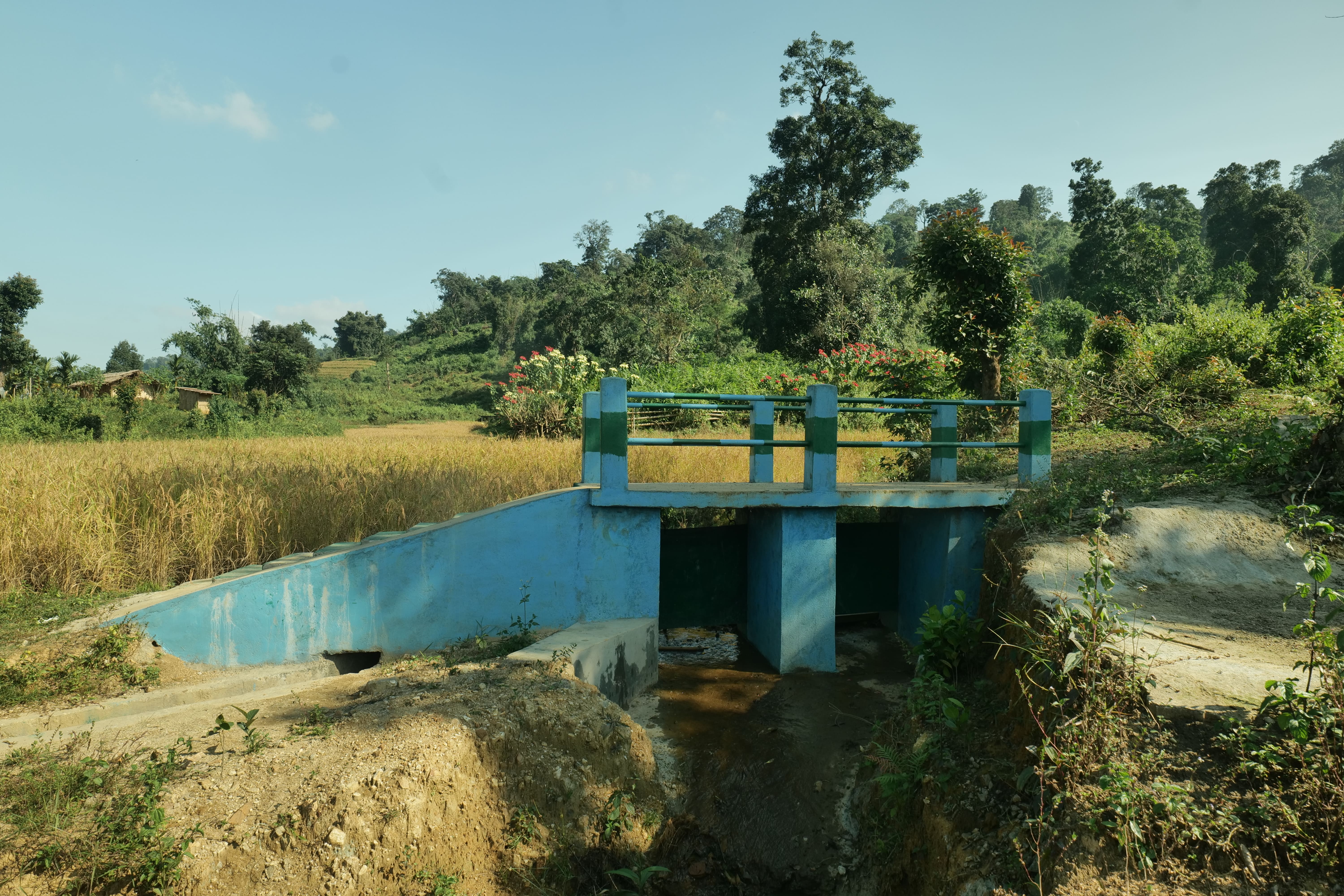Chibra Jambal, NGH