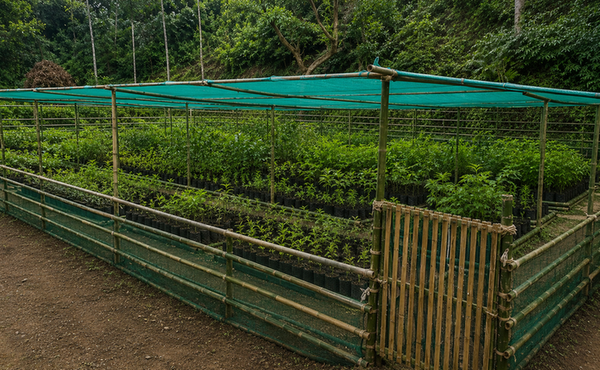 Rongsa Awe Community Nursery