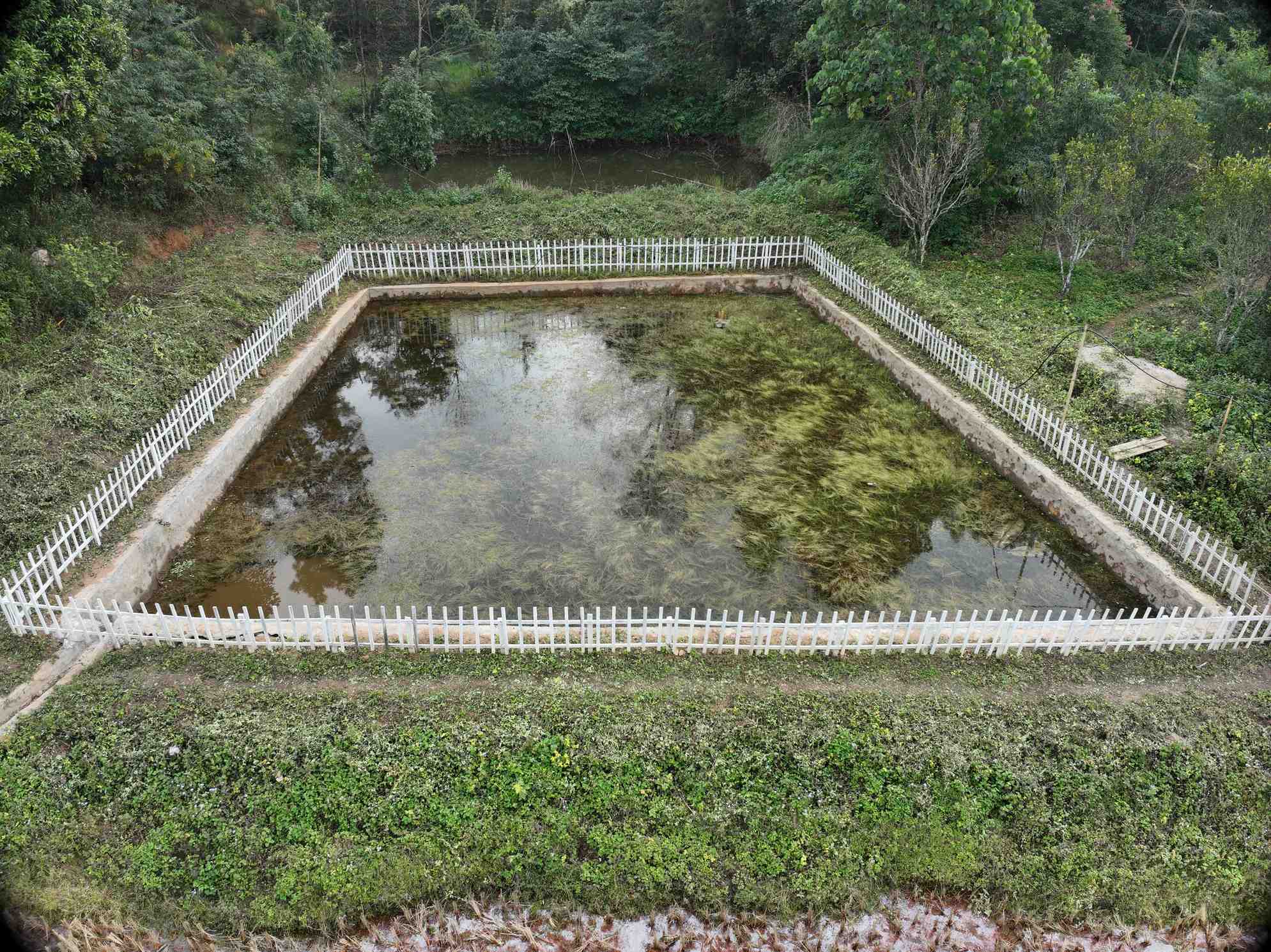 Laskein  Dugged Out Ponds