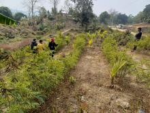 Sloping Agricultural Land Technology