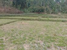 After Picture of Dugout Pond in Imtra-Apal (Mangsang-Gittim) village