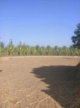 Nongkonli Reinforced Cement Concrete Check Dam