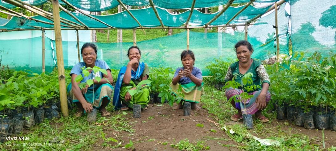 A Nursery of Dreams: The Women of Thaugittim