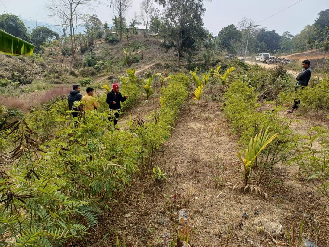 Sloping Agricultural Land Technology