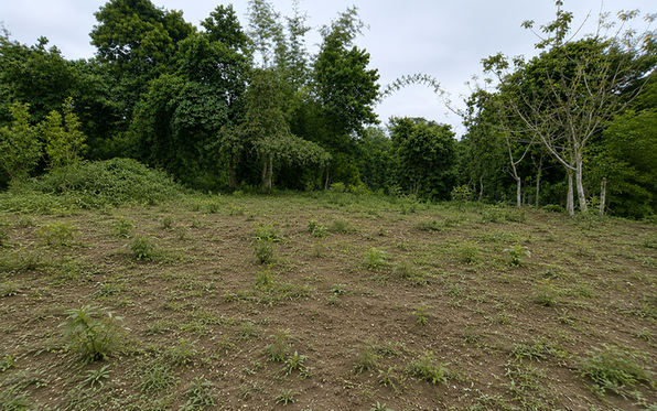 Nengsrangittim Community Nursery