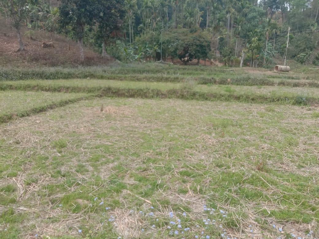 After Picture of Dugout Pond in Imtra-Apal (Mangsang-Gittim) village