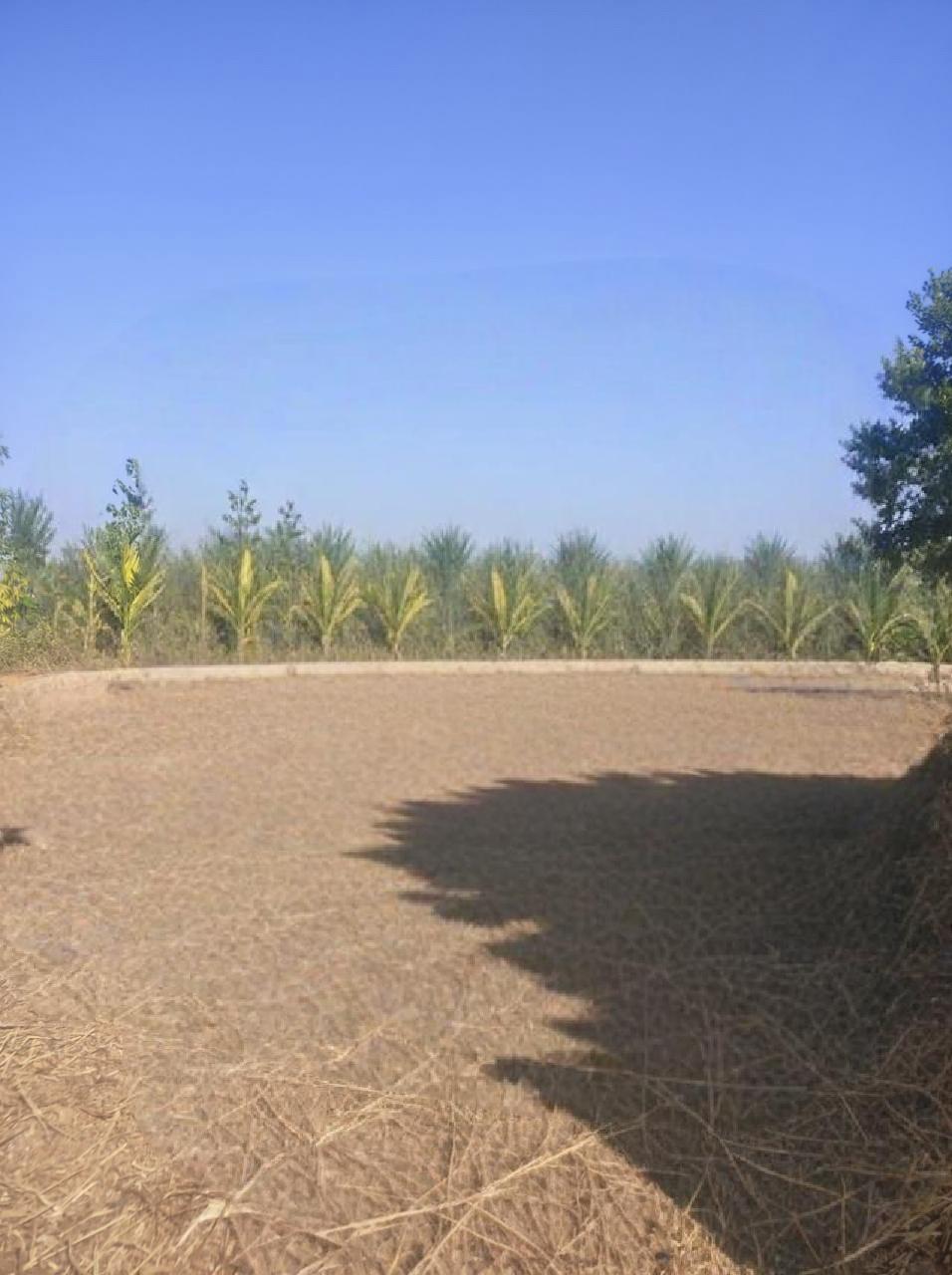 Nongkonli Reinforced Cement Concrete Check Dam