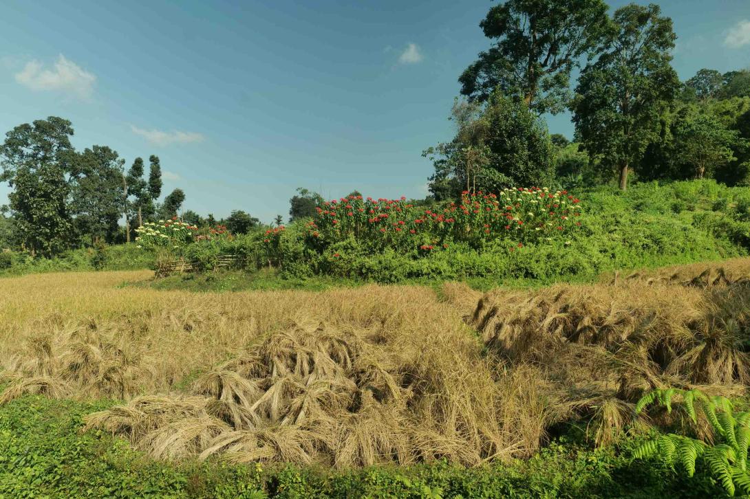 Vented Check Dams in Chibra Jambal
